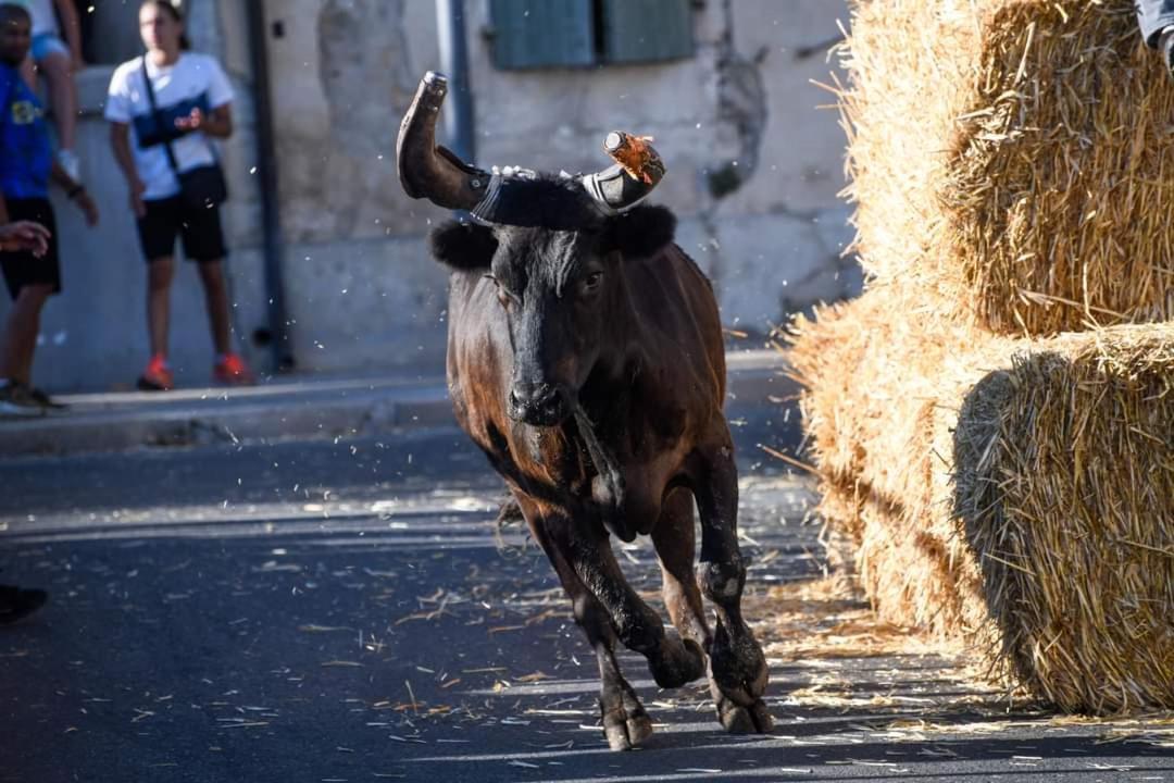 Location Gite En Provence Beaucaire  Esterno foto