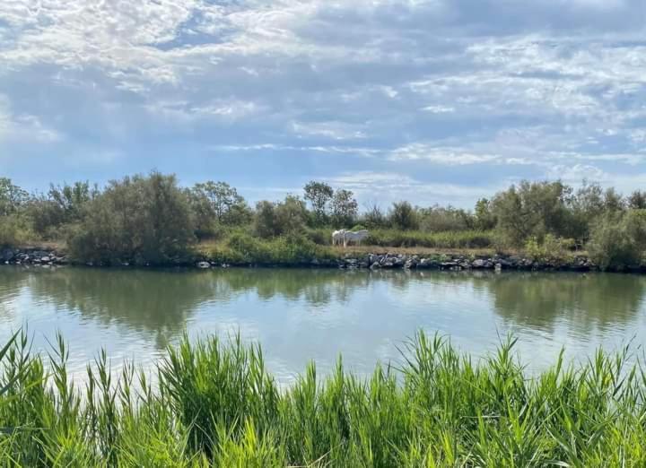 Location Gite En Provence Beaucaire  Esterno foto