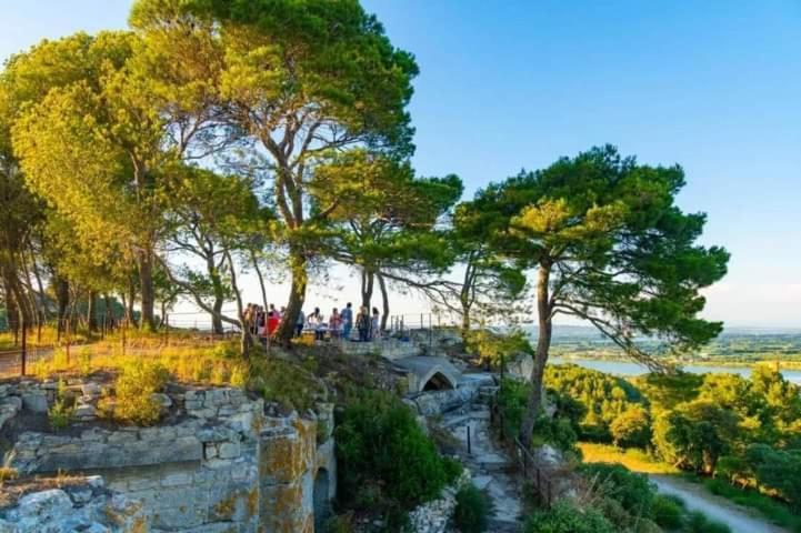 Location Gite En Provence Beaucaire  Esterno foto